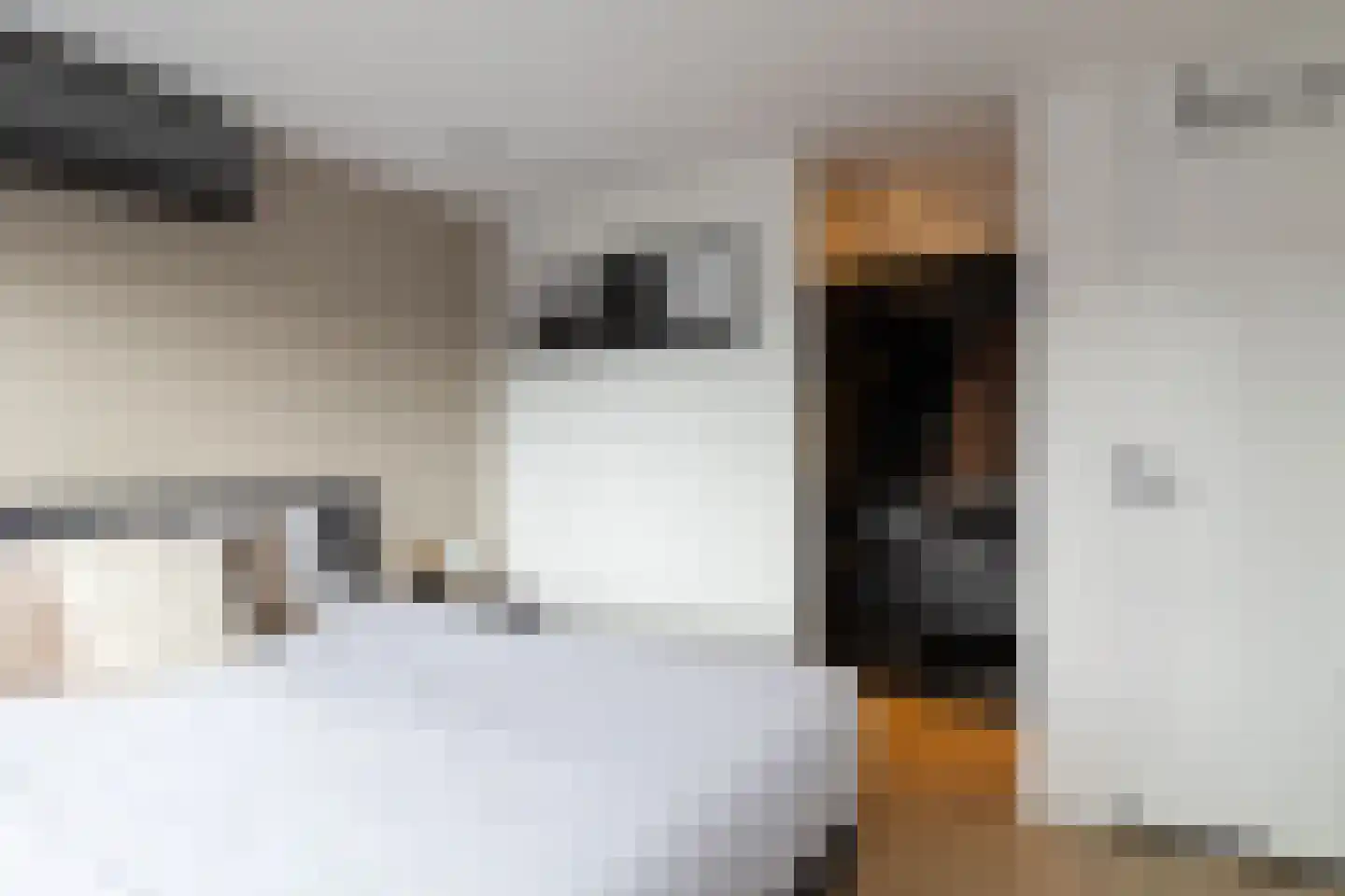 Oude Gest 6 Bunschoten-Spakenburg thumbnail 17