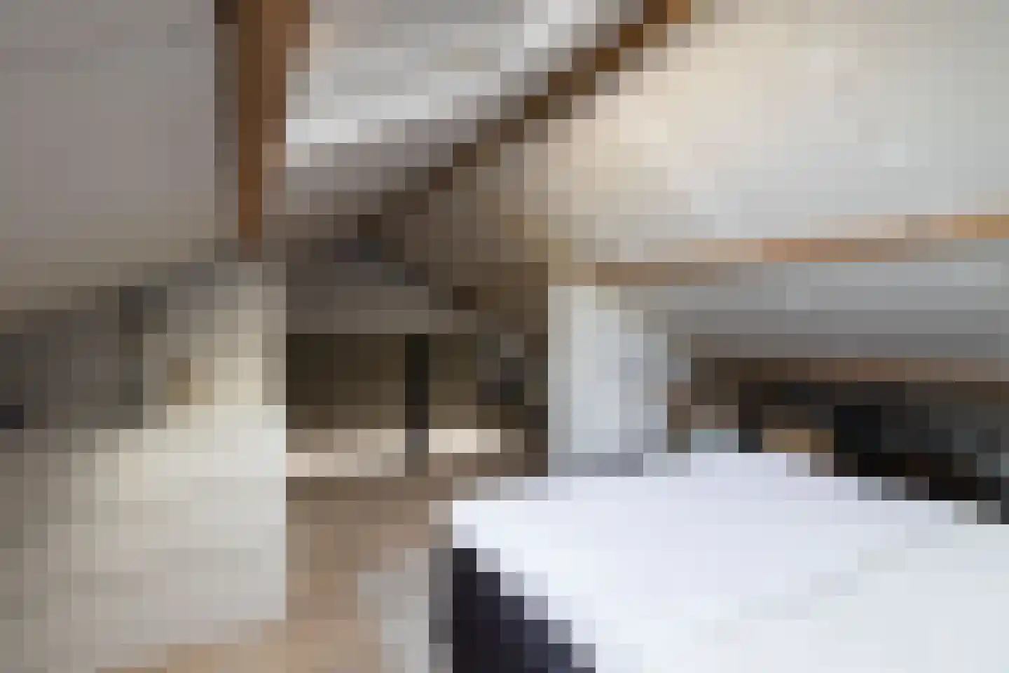 Oude Gest 6 Bunschoten-Spakenburg thumbnail 29