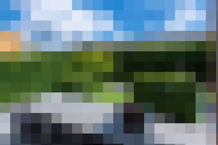 Oude Goirleseweg 138 Tilburg thumbnail 44
