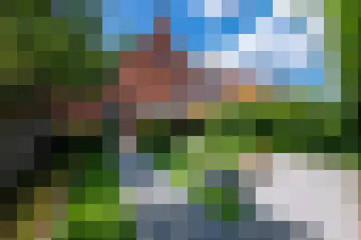 Oude Goirleseweg 138 Tilburg thumbnail 49