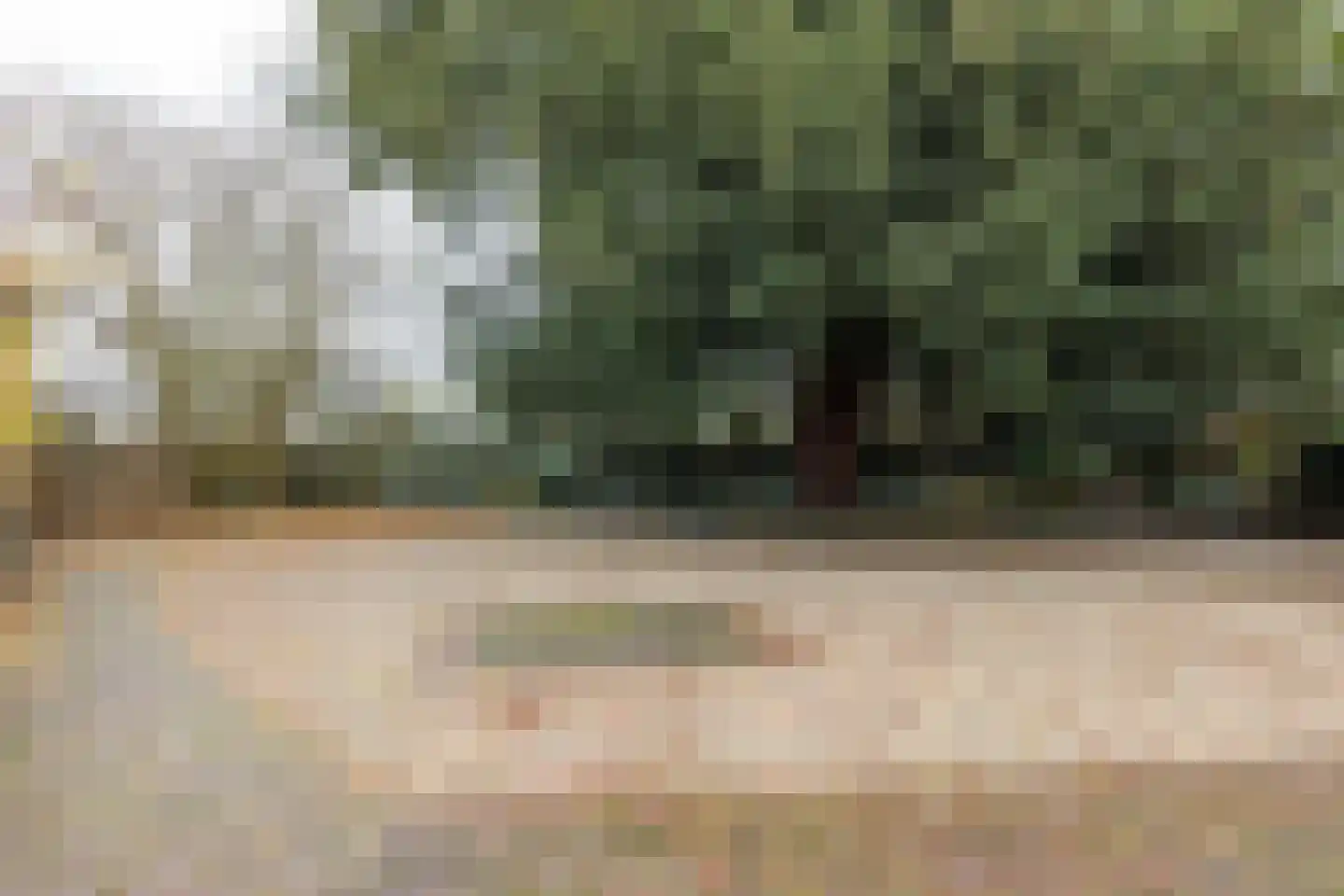 Oude Goirleseweg 160 Tilburg thumbnail 24
