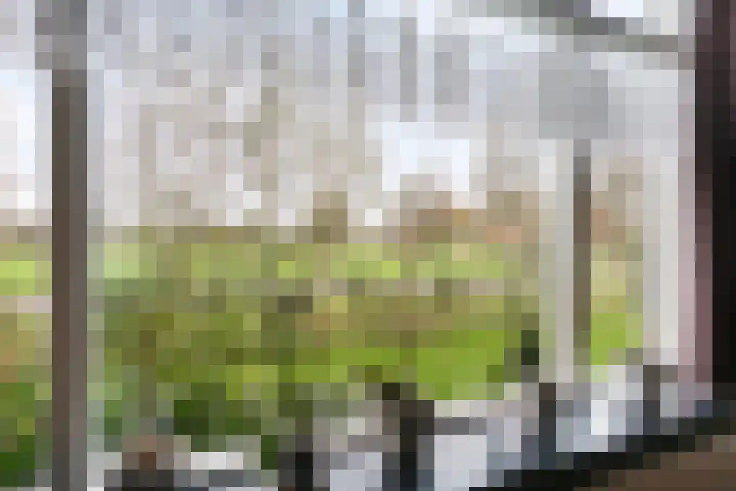 Oude Goorseweg 10 Diepenheim thumbnail 13