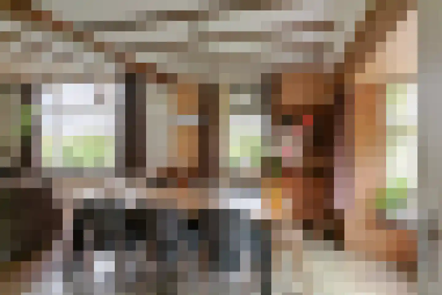 Oude Goorseweg 10 Diepenheim thumbnail 15