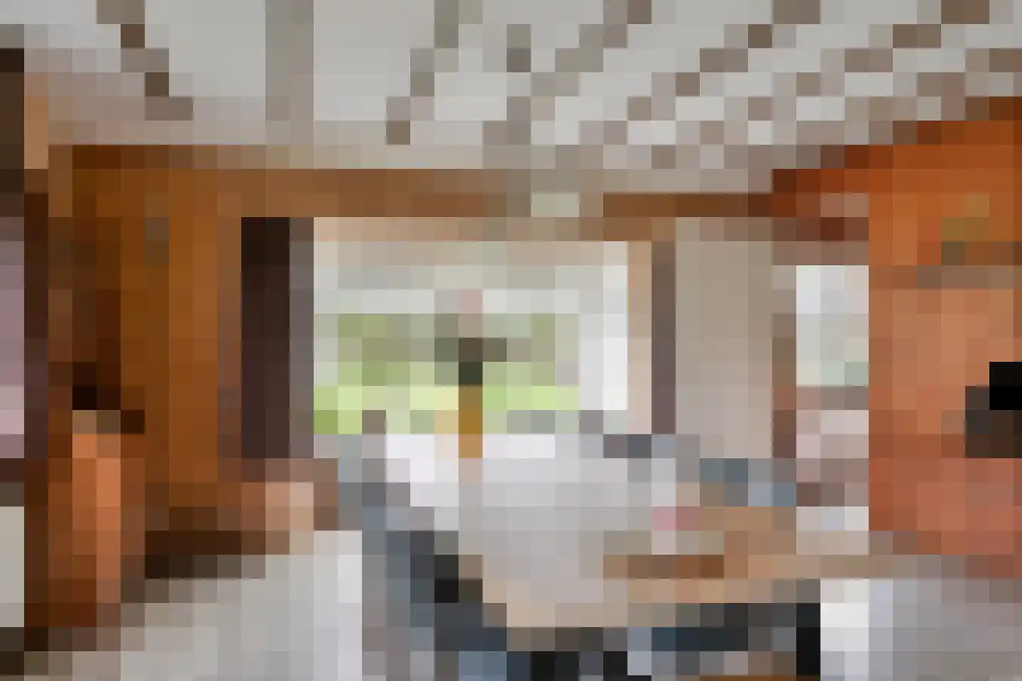 Oude Goorseweg 10 Diepenheim thumbnail 16