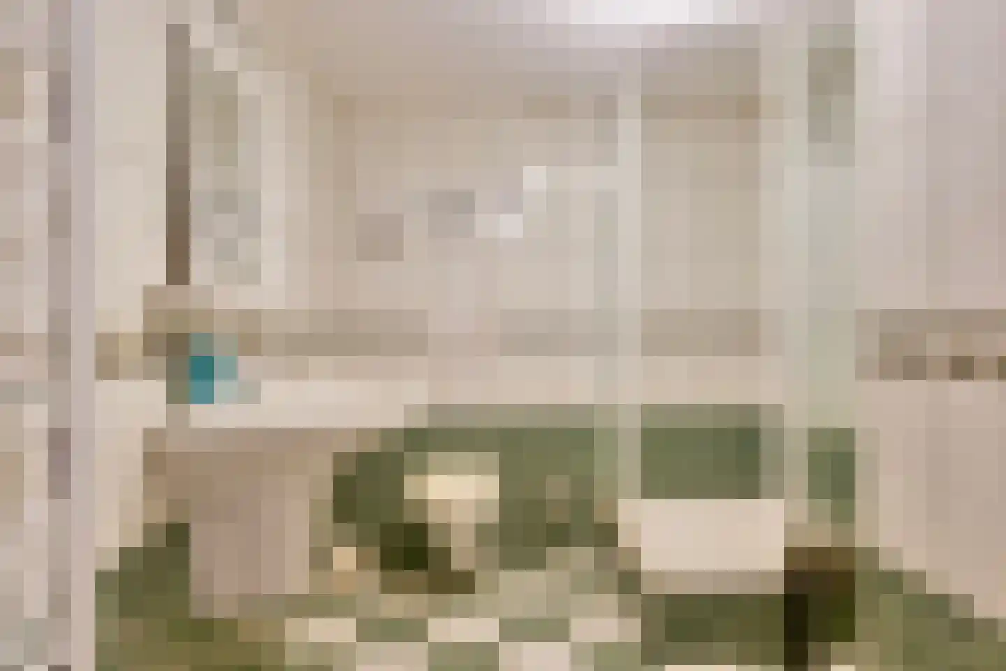 Oude Goorseweg 10 Diepenheim thumbnail 19