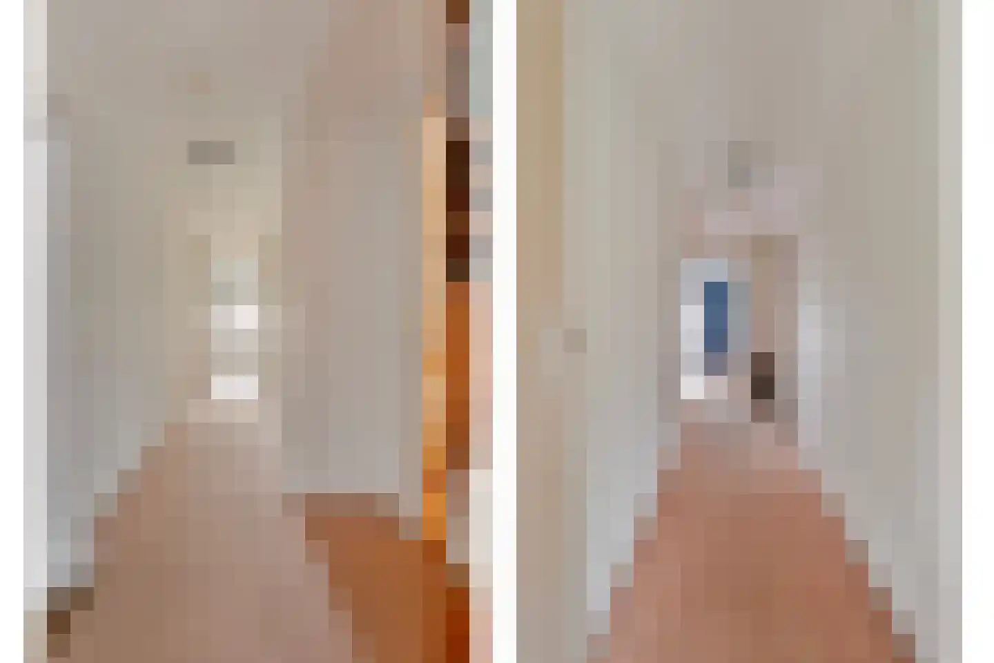 Oude Goorseweg 10 Diepenheim thumbnail 23