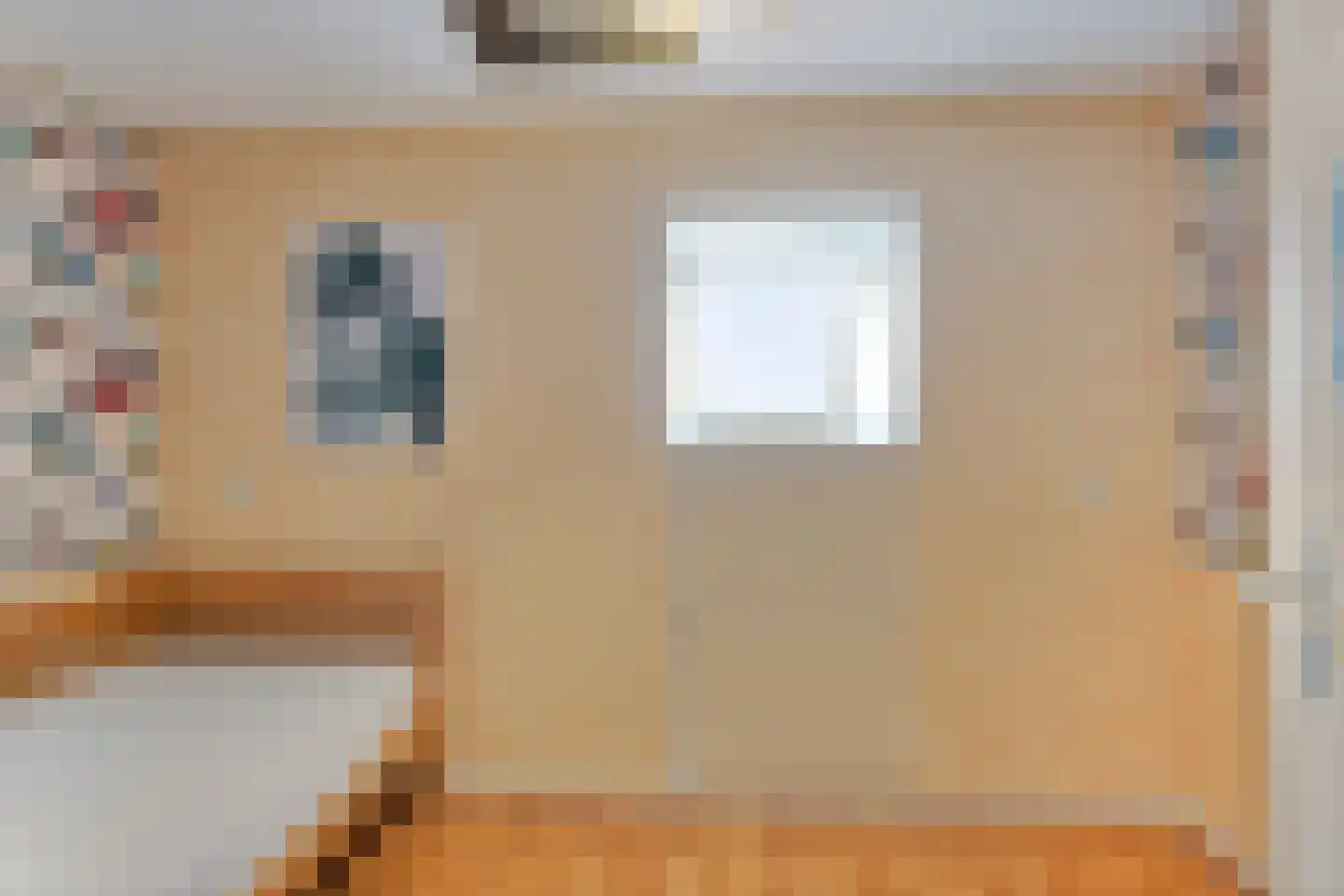 Oude Goorseweg 10 Diepenheim thumbnail 27