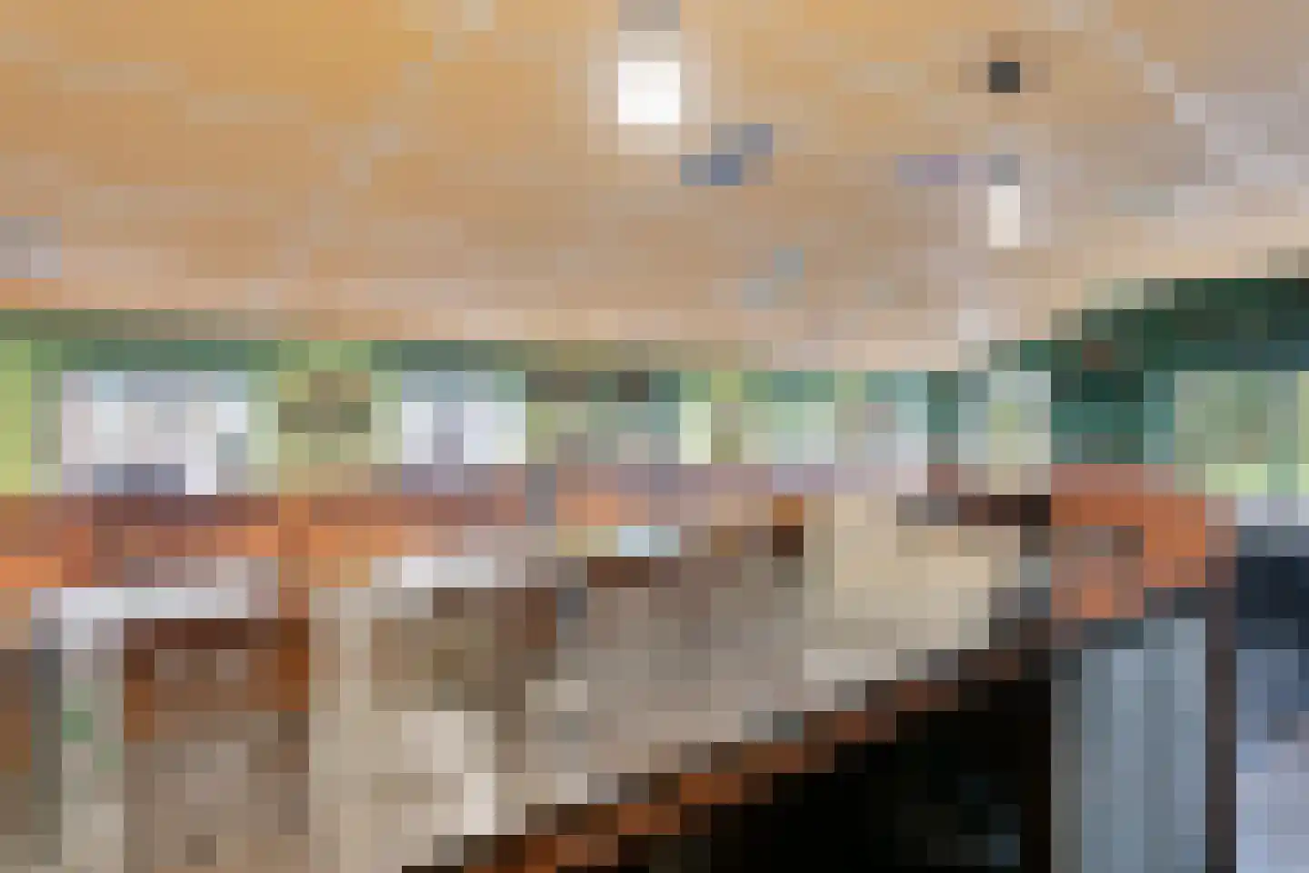 Oude Goorseweg 10 Diepenheim thumbnail 30