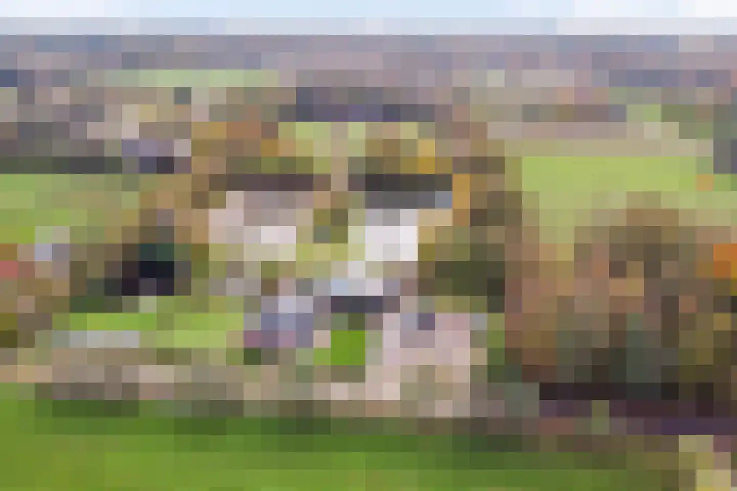 Oude Goorseweg 10 Diepenheim thumbnail 39