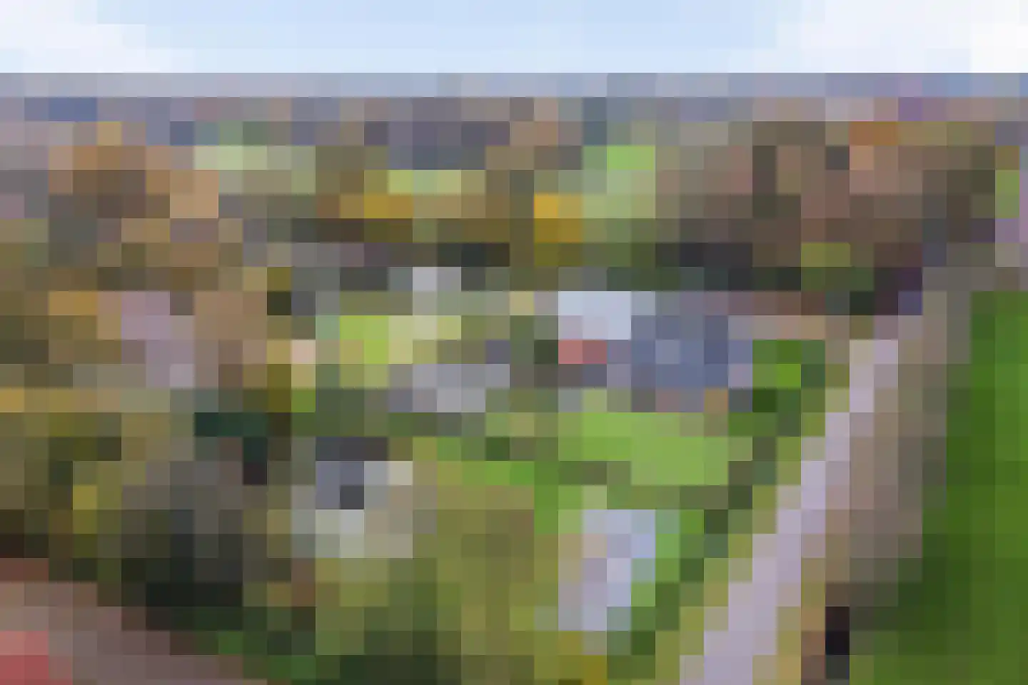 Oude Goorseweg 10 Diepenheim thumbnail 40