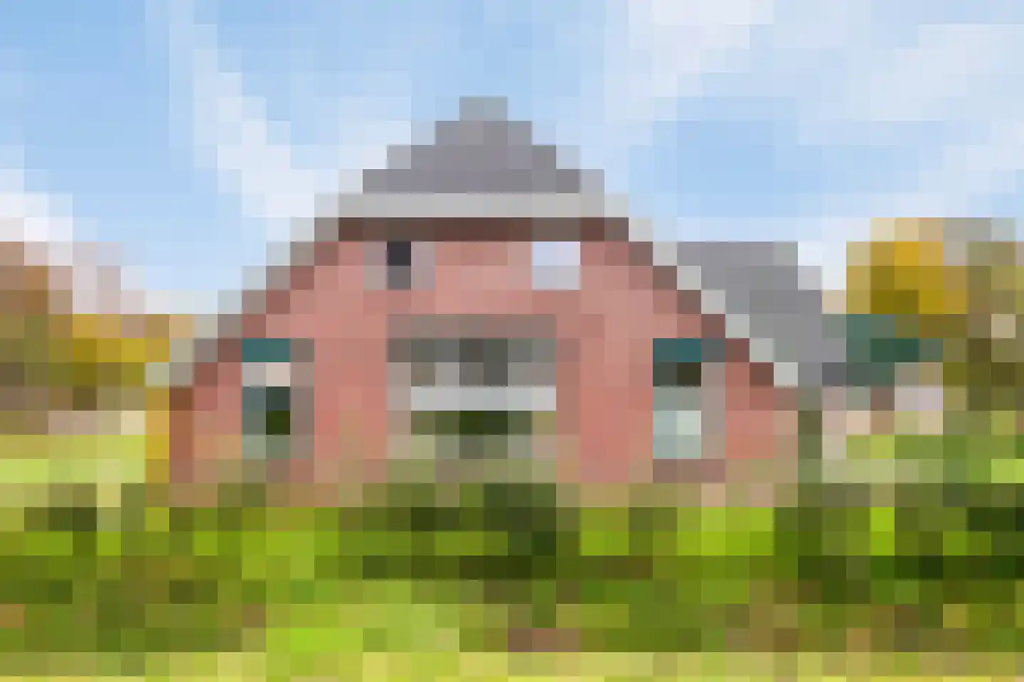 Oude Goorseweg 10 Diepenheim thumbnail 6