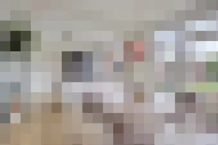 Oude Graafsestraat 17 B Overlangel thumbnail 17
