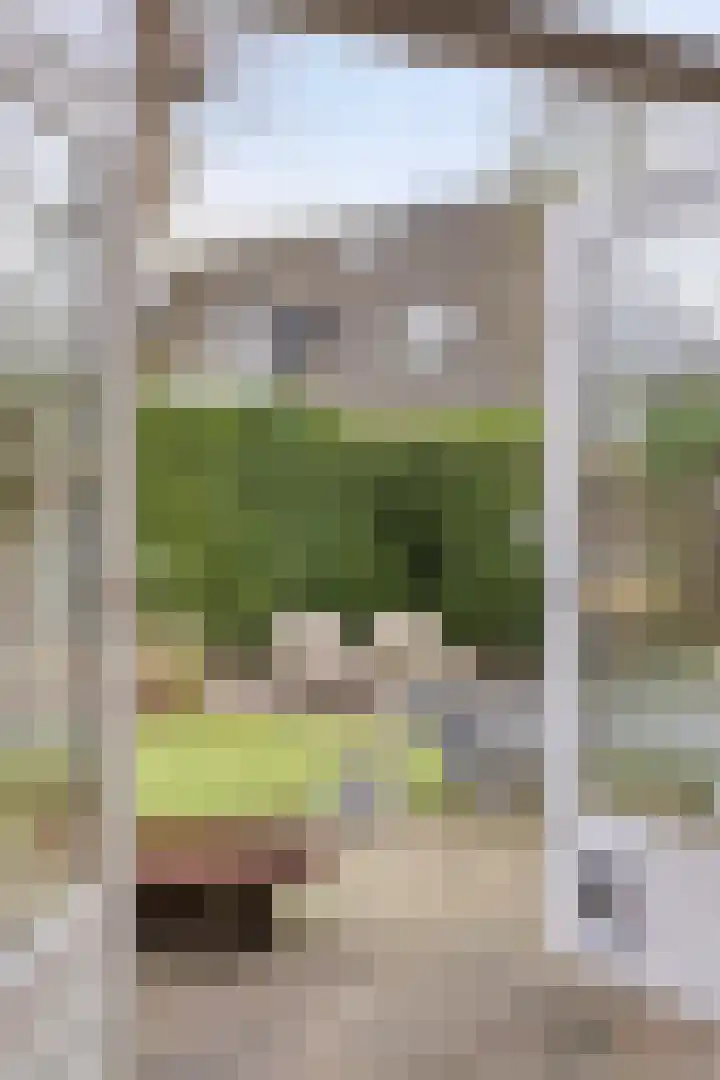 Oude Graafsestraat 17 B Overlangel thumbnail 30