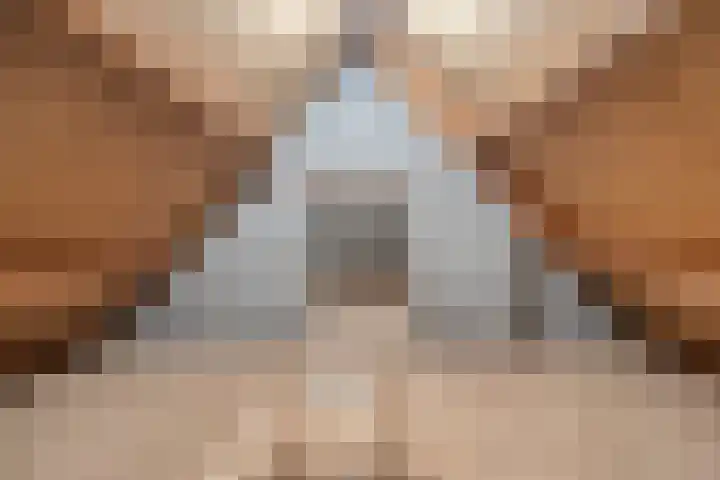 Oude Graafsestraat 17 B Overlangel thumbnail 44