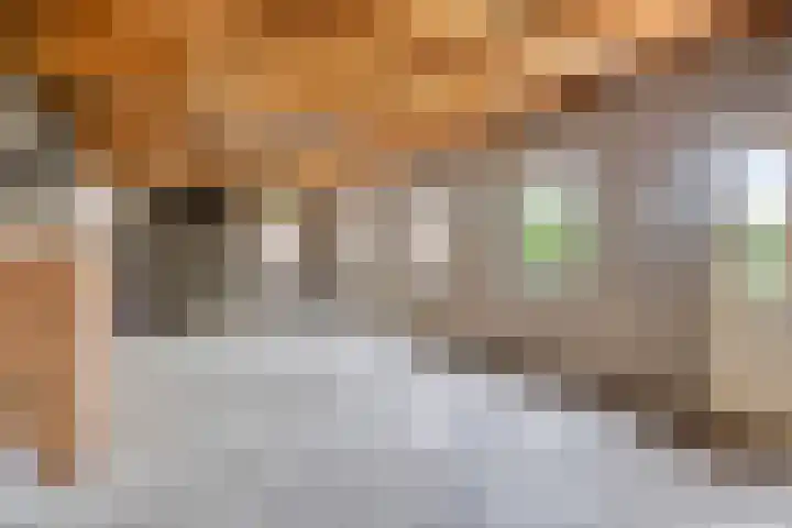 Oude Graafsestraat 17 B Overlangel thumbnail 59
