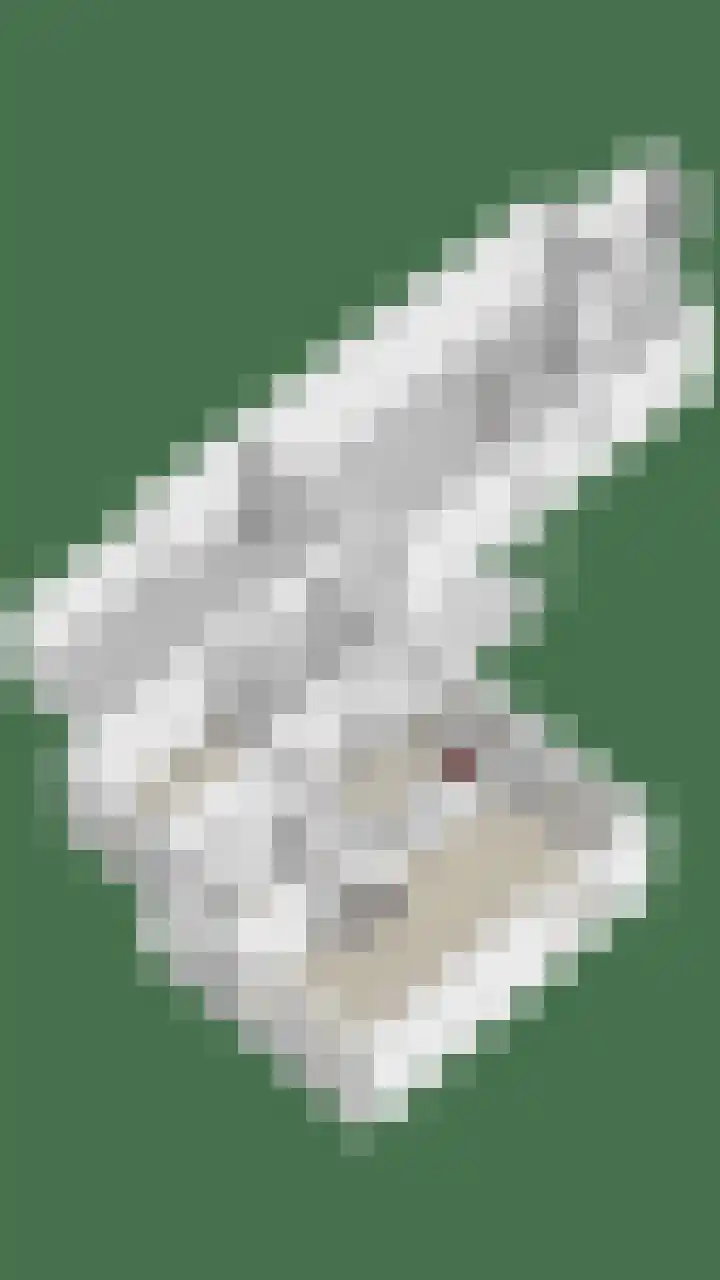 Oude Graafsestraat 17 B Overlangel thumbnail 66