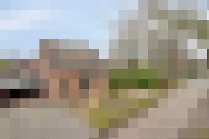 Oude Graafsestraat 17 B Overlangel thumbnail 8