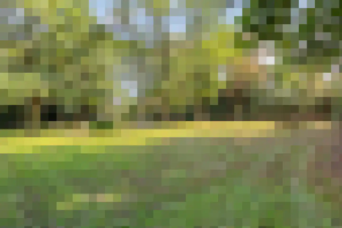 Oude Graafseweg 155 Nijmegen thumbnail 33
