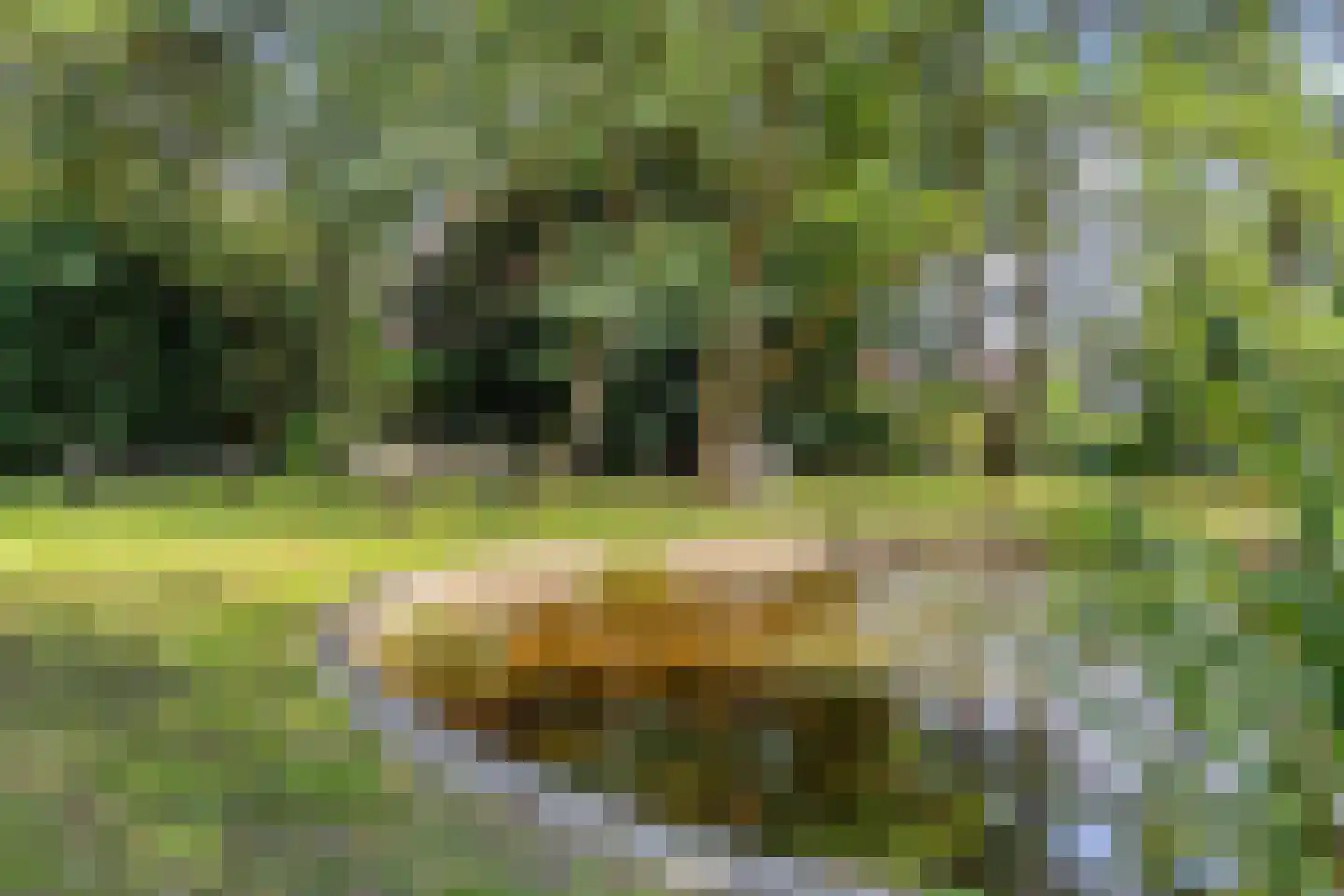Oude Graafseweg 155 Nijmegen thumbnail 34