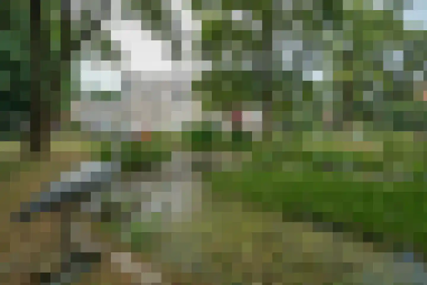 Oude Graafseweg 155 Nijmegen thumbnail 35
