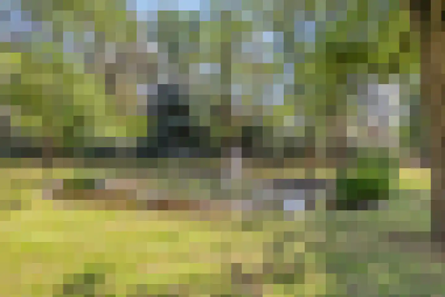 Oude Graafseweg 155 Nijmegen thumbnail 36