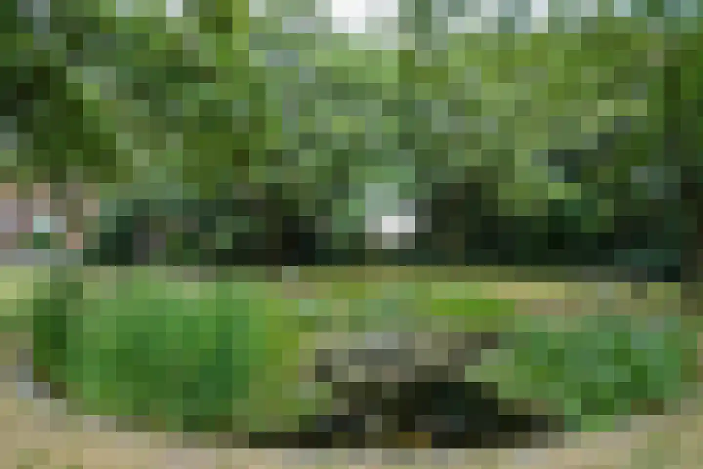 Oude Graafseweg 155 Nijmegen thumbnail 37