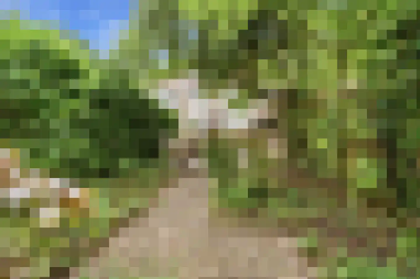 Oude Graafseweg 158 Nijmegen thumbnail 34