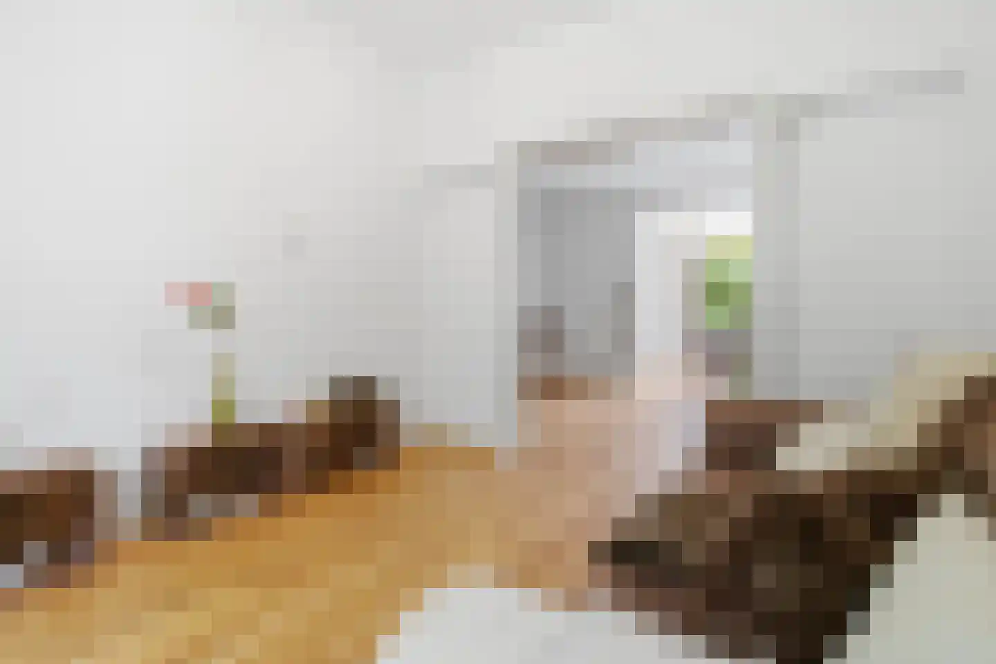 Oude Graafseweg 158 Nijmegen thumbnail 4