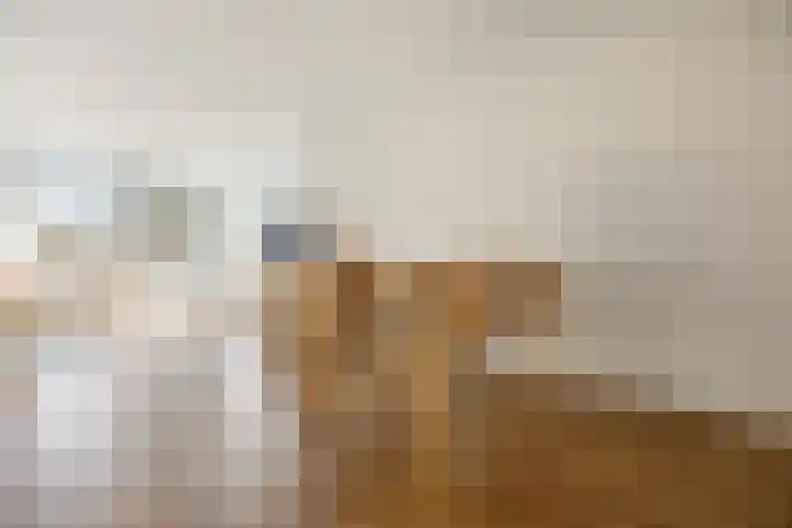 Oude Graafseweg 161 Nijmegen thumbnail 10