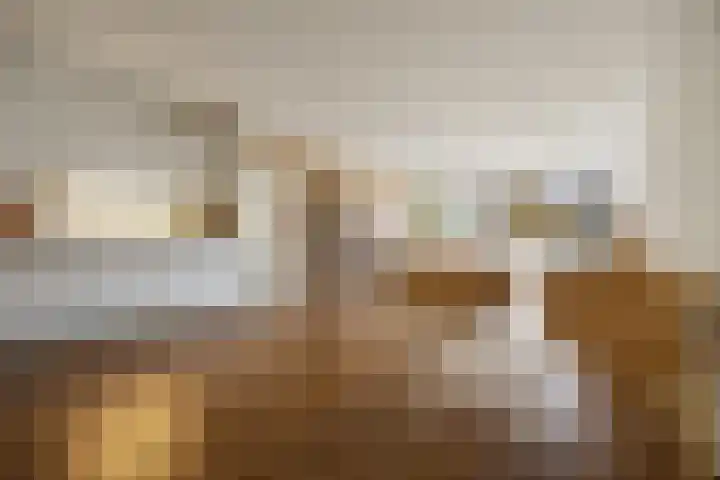Oude Graafseweg 161 Nijmegen thumbnail 8