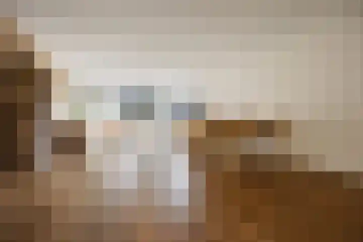 Oude Graafseweg 161 Nijmegen thumbnail 9
