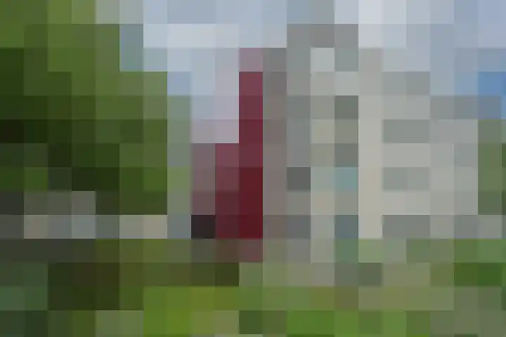 Oude Graafseweg 163 Nijmegen thumbnail 26
