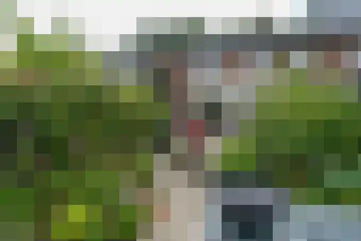 Oude Graafseweg 172 Nijmegen thumbnail 17