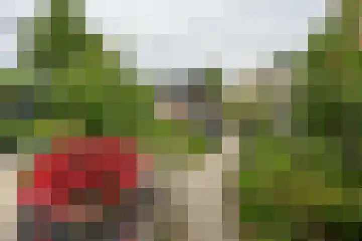 Oude Graafseweg 172 Nijmegen thumbnail 18