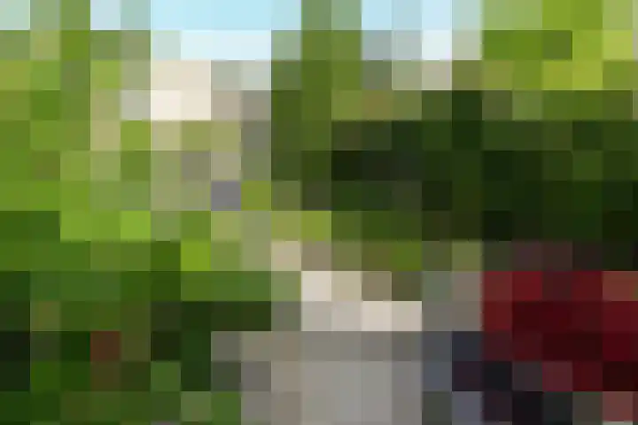 Oude Graafseweg 172 Nijmegen thumbnail 19