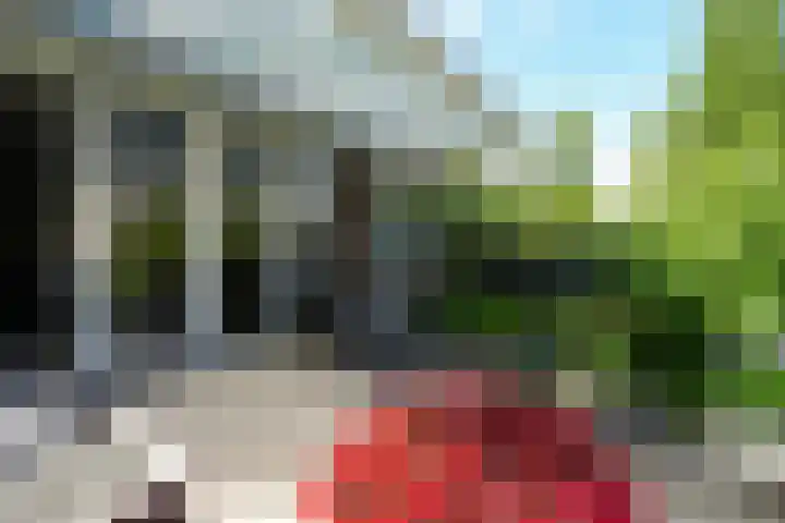 Oude Graafseweg 172 Nijmegen thumbnail 34