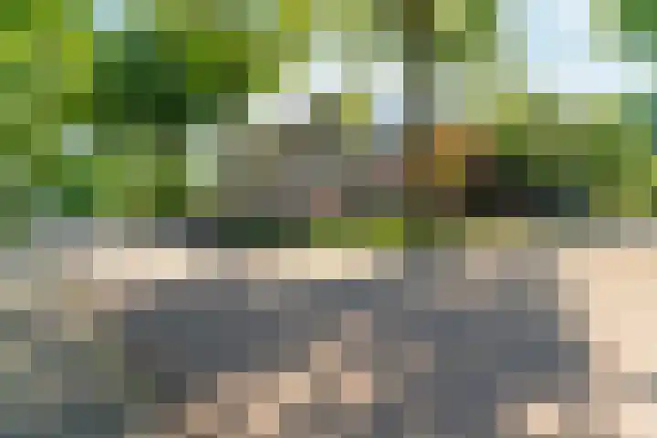Oude Graafseweg 185 Nijmegen thumbnail 4