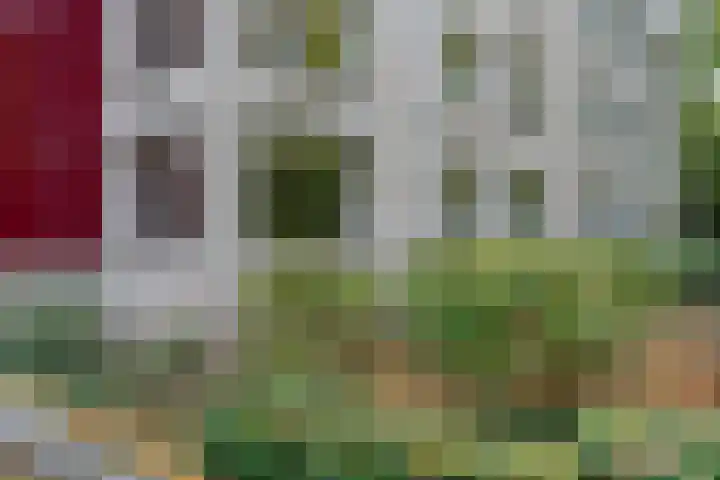 Oude Graafseweg 209 Nijmegen thumbnail 30