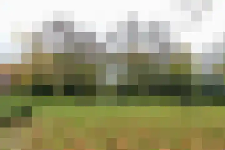 Oude Graafseweg 209 Nijmegen thumbnail 4