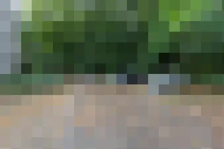 Oude Graafseweg 217 Nijmegen thumbnail 26