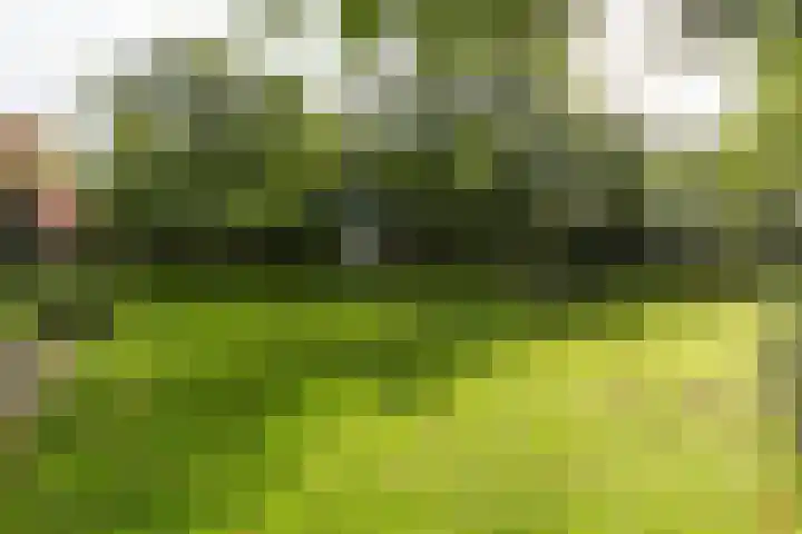 Oude Graafseweg 217 Nijmegen thumbnail 27