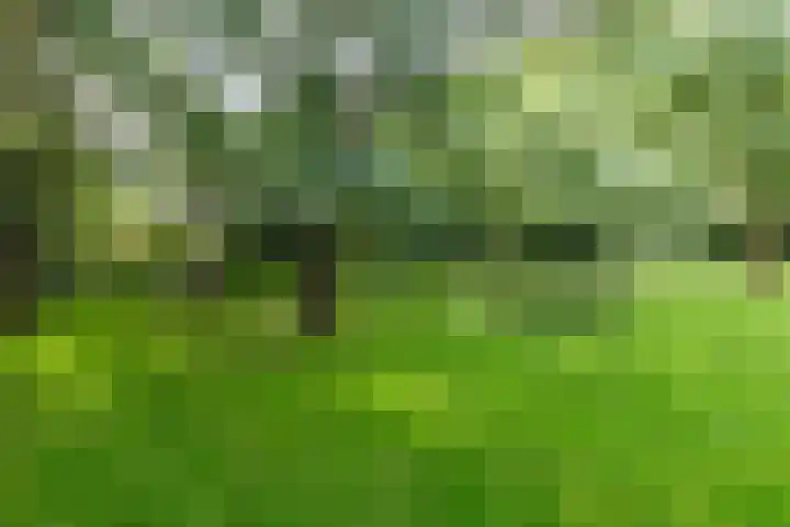 Oude Graafseweg 217 Nijmegen thumbnail 28