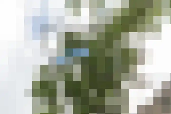 Oude Graafseweg 217 Nijmegen thumbnail 30
