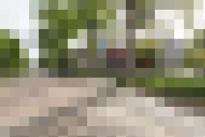 Oude Graafseweg 217 Nijmegen thumbnail 35