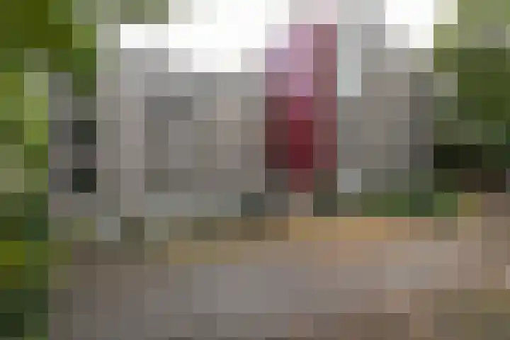 Oude Graafseweg 217 Nijmegen thumbnail 36