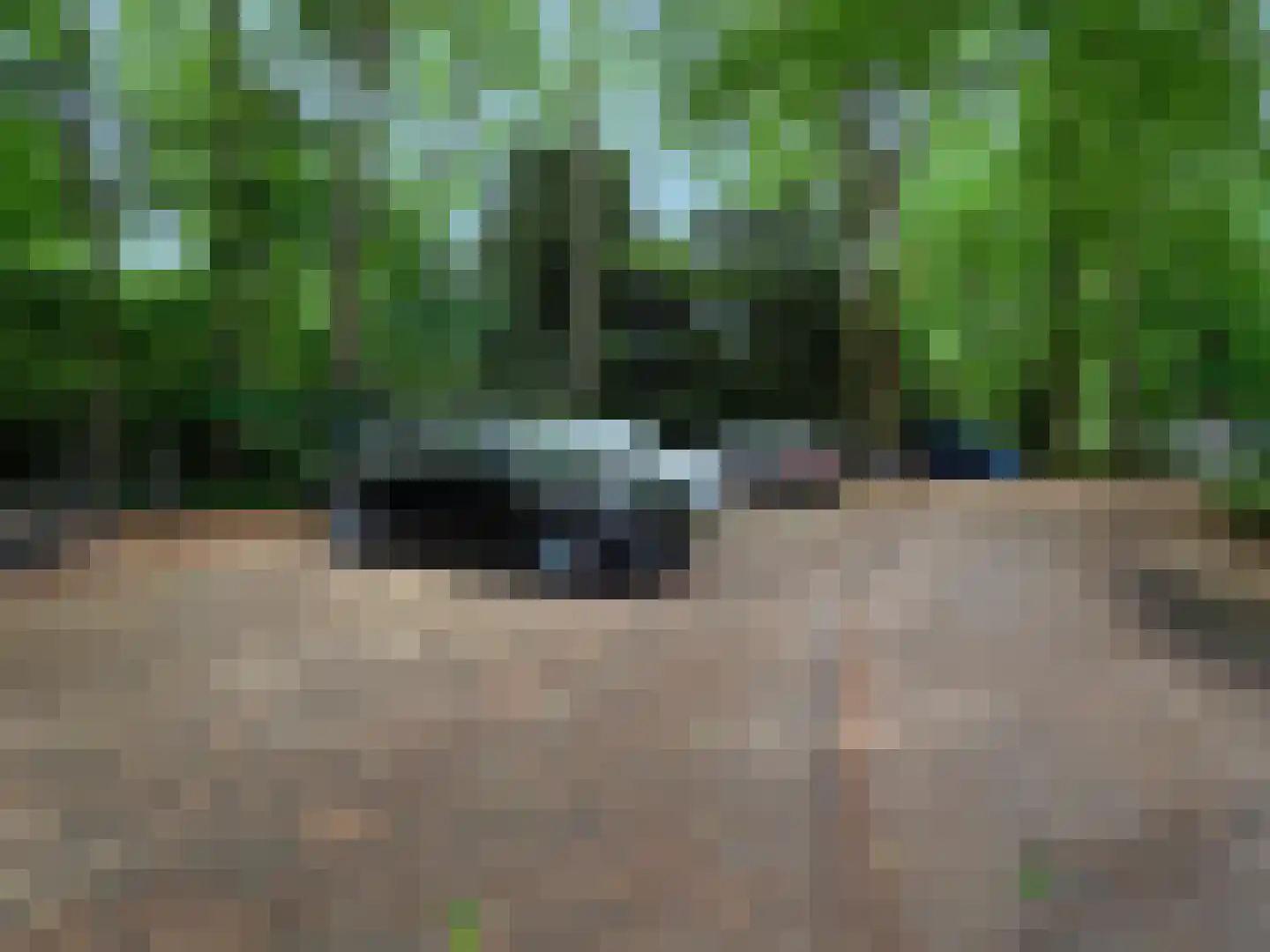 Oude Graafseweg 219 Nijmegen thumbnail 18