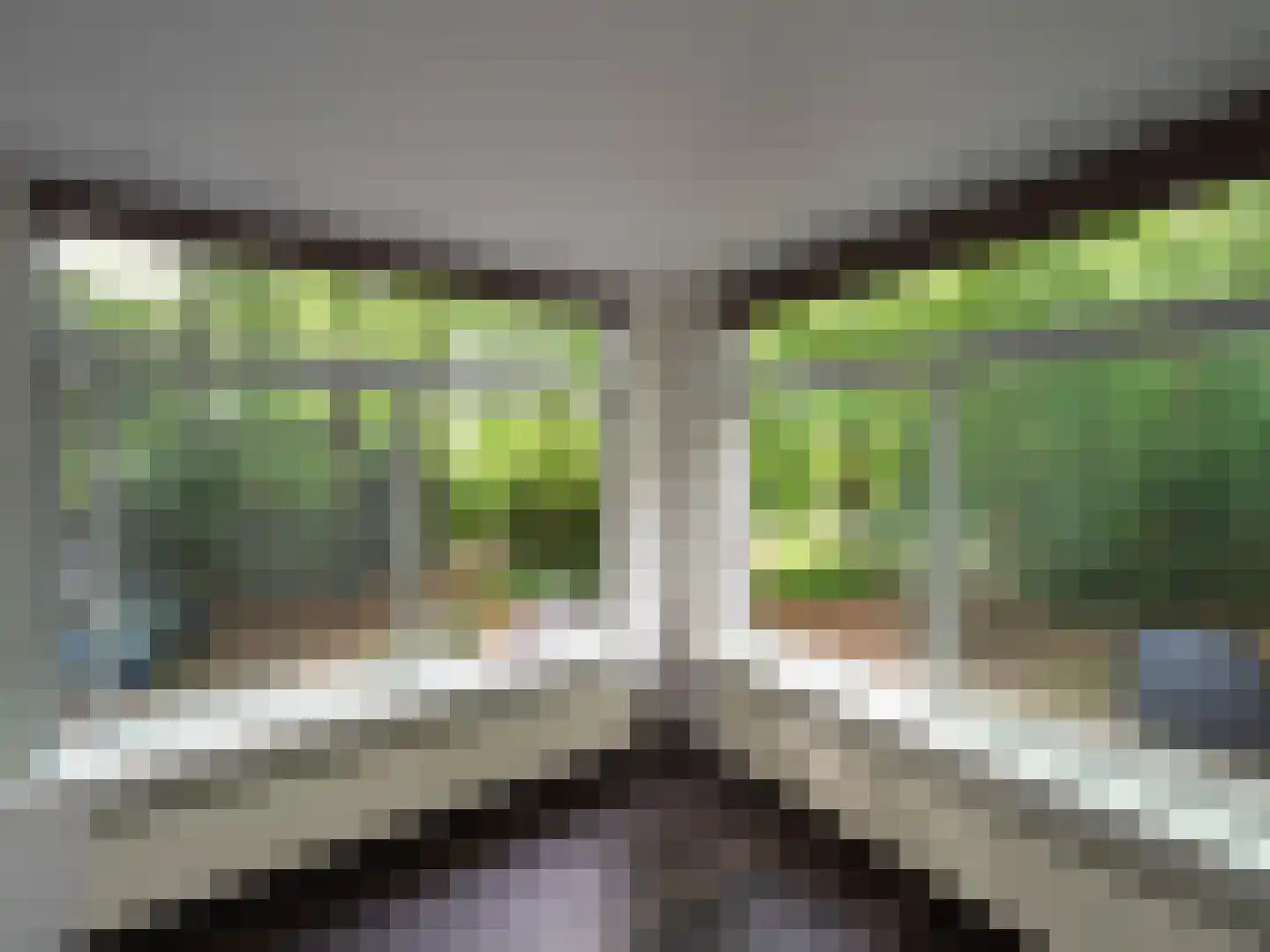Oude Graafseweg 219 Nijmegen thumbnail 5