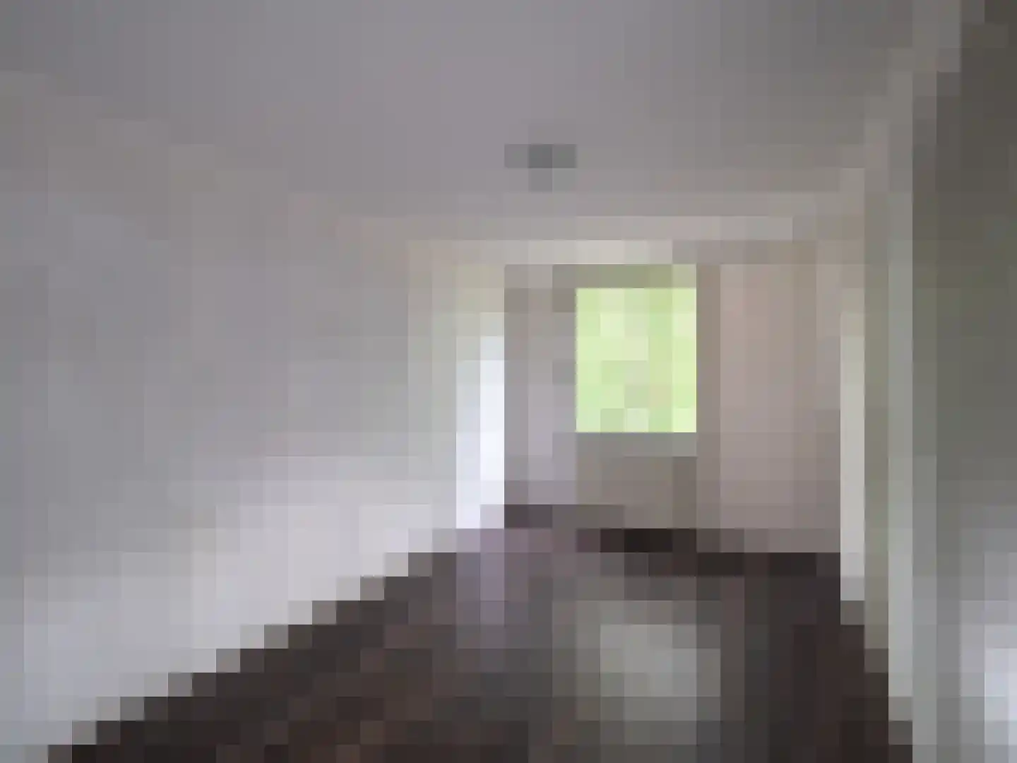 Oude Graafseweg 219 Nijmegen thumbnail 7