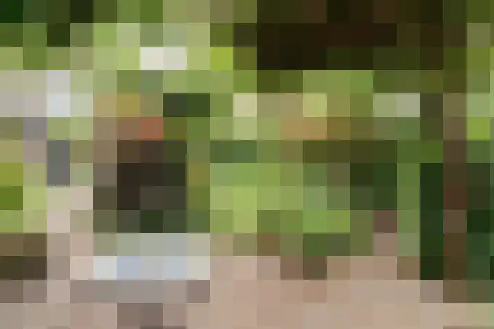 Oude Graafseweg 224 Nijmegen thumbnail 27