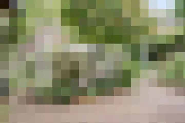 Oude Graafseweg 224 Nijmegen thumbnail 29